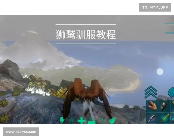 狮鹫训练中的关键技巧与方法探索 提升驯养成功率的实用策略